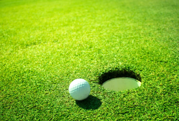 istock Golf club and ball in grass. 902381524