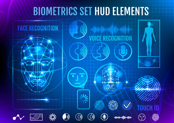 Biometrie-Set HUD-Elemente – Vektorgrafik