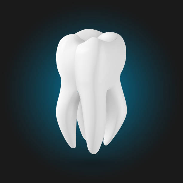 Realistic Vector Teeth 90+ Efficient Dental Icon Stock Illustrations, Royalty-Free Vector ...