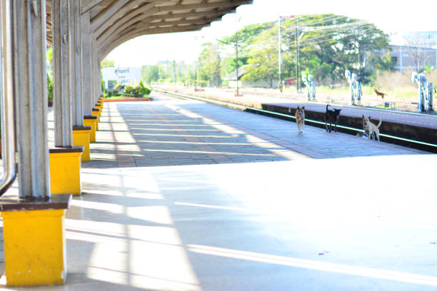 Platform of the train station with the shadow.