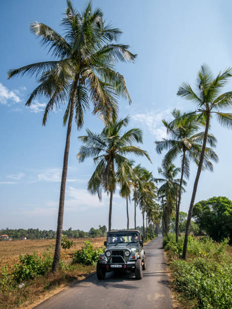 eine leere straße in goa - goa stock-fotos und bilder