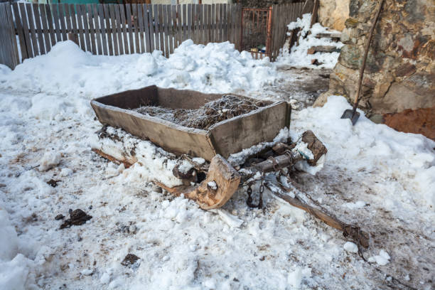 istock sledge for hay in the snow, Svaneti, Georgia 902406914