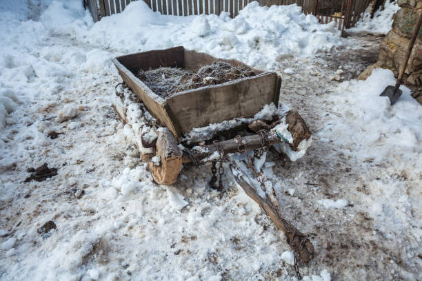 istock sledge for hay in the snow, Svaneti, Georgia 902406938