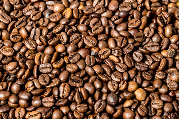 istock Many roast brown coffee grains texture close up on an abstract background 902407100