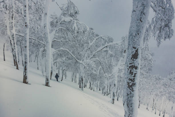 istock Skier on trail up mountain with trees 902410856