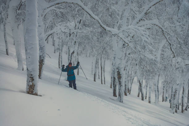 istock Skier on trail up mountain with trees 902410992
