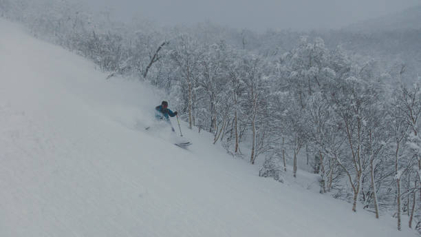 istock Skier skiing deep powder in snowy forest 902413826
