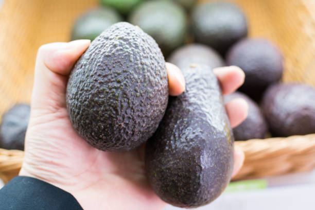 istock Avocado also refers to the Avocado tree's fruit, which is botanically a large berry containing a single seed. Avocados are very nutritious and contain a wide variety of nutrients. 902417946