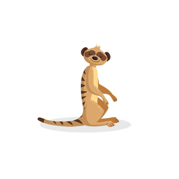 Ilustración de Sesión De Suricata Alegre De Diseño De Moda De Dibujos Animados Animales De Vida Silvestre Africana Aislado Sobre Fondo Blanco Ilustración De Vector Suricate y más Vectores Libres de Derechos Ilustración de Sesión De Suricata Alegre De Diseño De Moda De Dibujos Animados Animales De Vida Silvestre Africana Aislado Sobre Fondo Blanco Ilustración De Vector Suricate y más Vectores Libres de Derechos