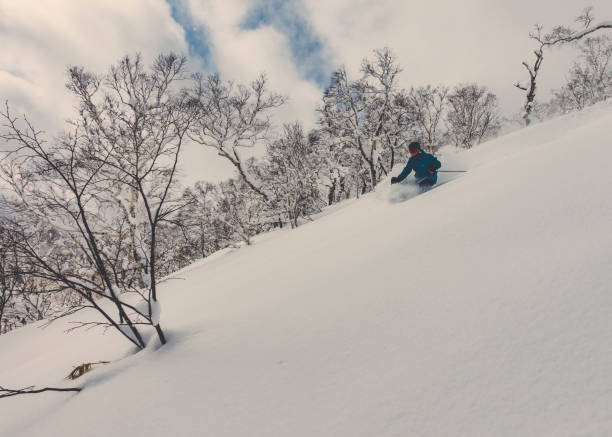 istock Skier skiing deep powder in snowy forest 902421734