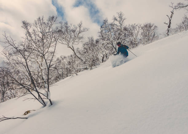 istock Skier skiing deep powder in snowy forest 902423902