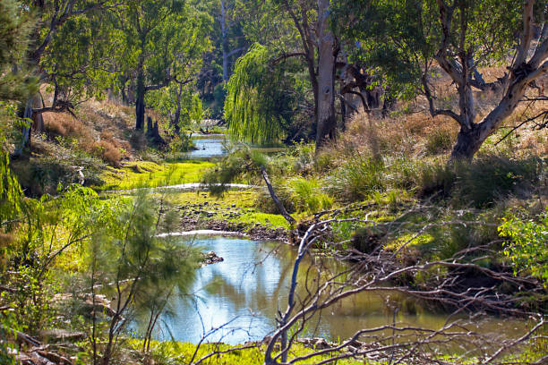 istock Outback at Dubbo New South Wales Australia 902424638