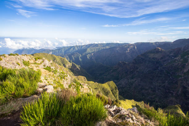 istock Mountain landscape on Madeira, Portugal 902425746