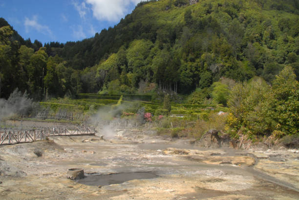istock Caldeiras at Furnas Lake 902426080
