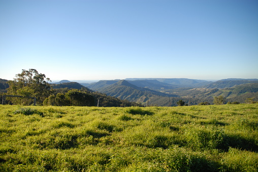 View of Green Mountains Section in Lamington Nationalpark, Australia