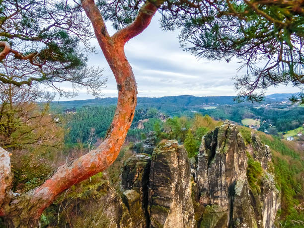 The rocks at national park Saxon Switzerland