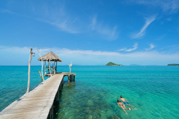 młoda para turystów nurkować w krystalicznie turkusowej wodzie w pobliżu tropikalnego kurortu w phuket, tajlandia. koncepcja lato, wakacje, podróże i wakacje. - swimming animal beach casual loving zdjęcia i obrazy z banku zdjęć