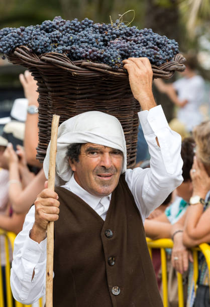 vieil homme porter le panier de raisins dans le durnig historique et ethnographique défilé de costume traditionnel du festival de vin de madère à funchal. - madeira portugal vineyard traditional culture photos et images de collection