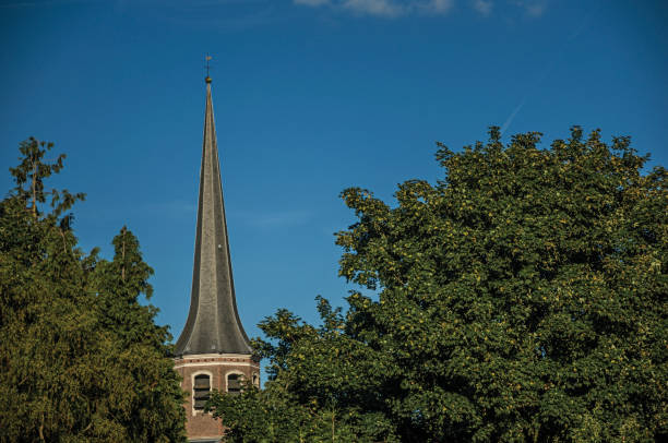 Tree tops and bellow tower roof at sunset and blue bright sky in Tielt. Charming and quiet village in the countryside, near Ghent and surrounded by agricultural fields. Western Belgium.