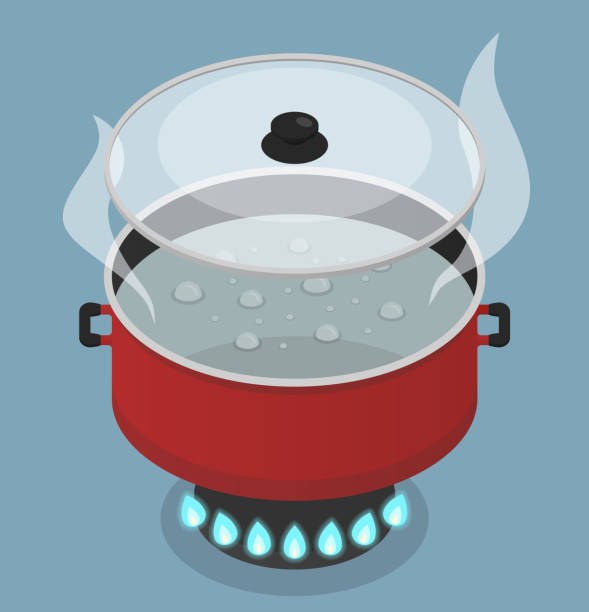 빨간 뚜껑 및 가스 버너에 끓는 물 냄비. 벡터 아이소메트릭 일러스트 레이 션 - steam saucepan fire cooking stock illustrations