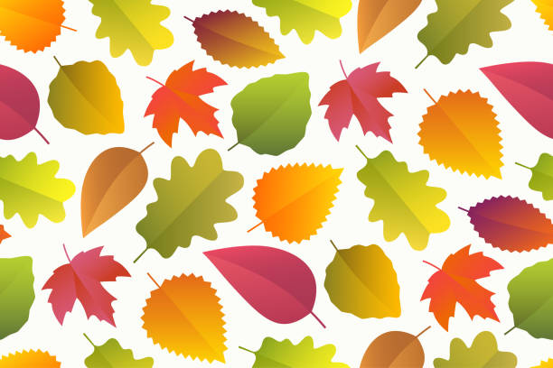 Seamless pattern of autumn leaves Seamless pattern of autumn leaves aspen leaf stock illustrations