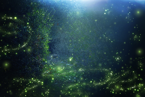 Imagen abstracta y mágica de luciérnaga volando en el bosque de noche. Concepto de cuento de hadas. photo