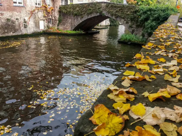 Photo of Canal and old buildings in the city of Bruges, Belgium.