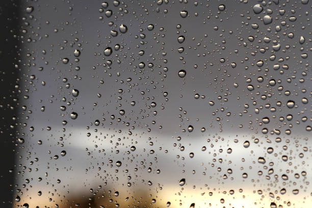 istock Drops of rain on the window 902484918