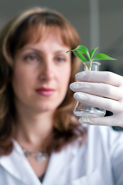 istock scientist with plant in test tube 90248665