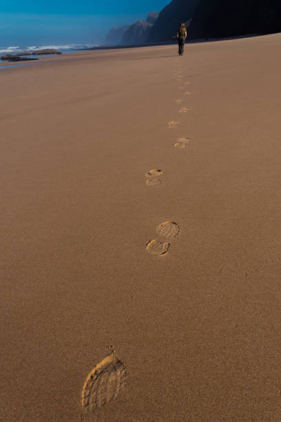 istock Traces in the sand on the beach 902488226