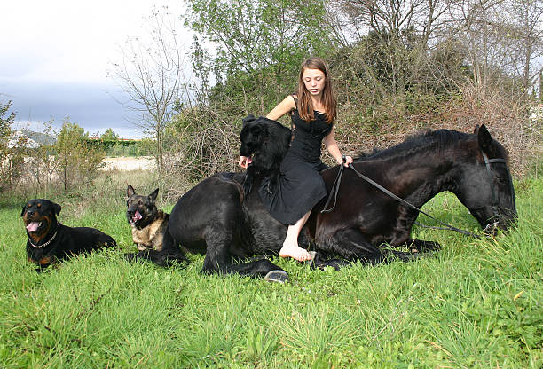 grandfather taking his nephews for a ride on horseback in the countryside with his dog