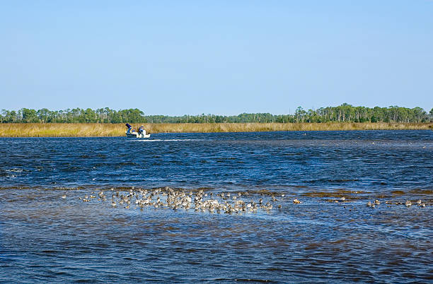 istock Sandpipers and Fishermen 90249199