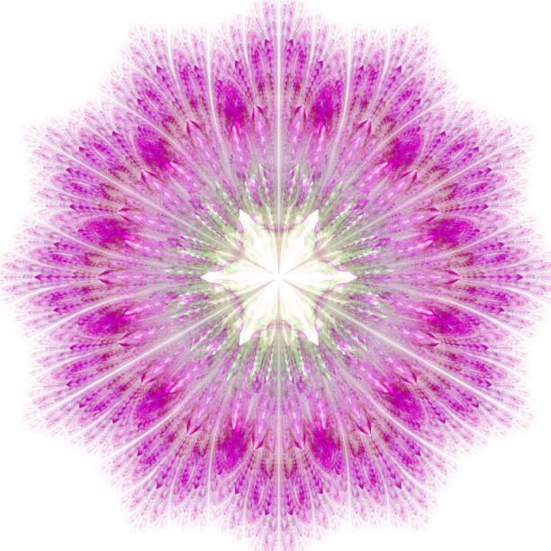 istock Exotic snowflake with magical glow. Cabalistic sign. 902496322