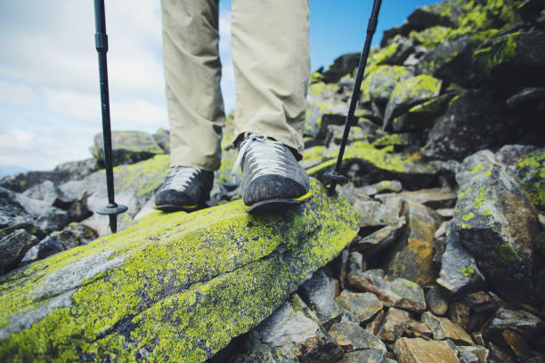 istock Summer hike in the mountains with a backpack and tent. 902504448