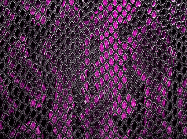 istock Snake skin, can use as background 902504918