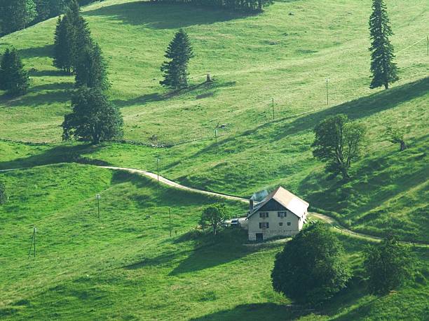 Natural strong blurry background of green grass blades close up. Fresh grass meadow in sunny morning. Copy space.