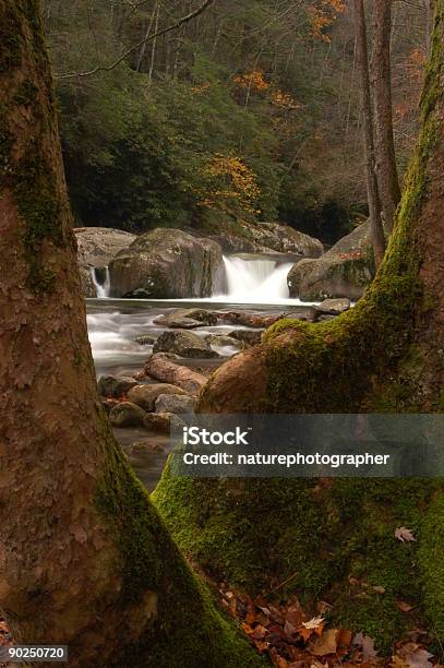 Midnight Hole Stock Photo - Download Image Now - Autumn, Color Image, Environment
