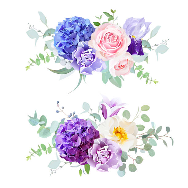 ilustrações, clipart, desenhos animados e ícones de flores do casamento lindo de primavera. - hydrangea flower old fashioned retro revival