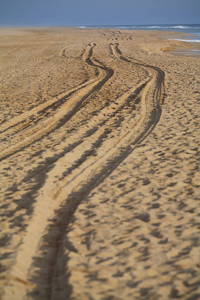 istock Car tracks on the beach sand 90251270