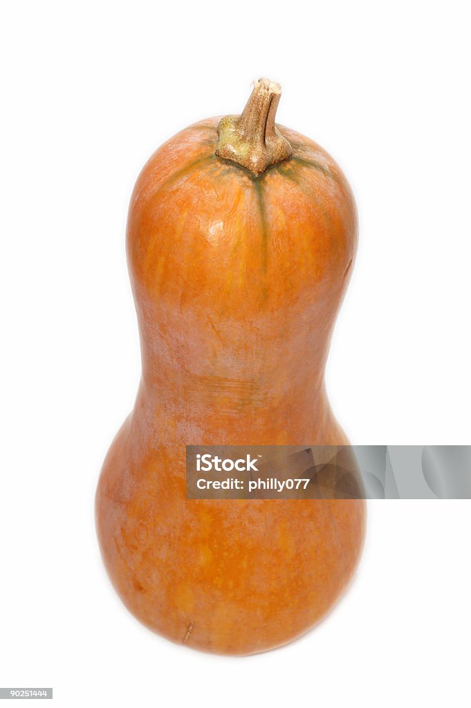 pumpkin  Autumn Stock Photo