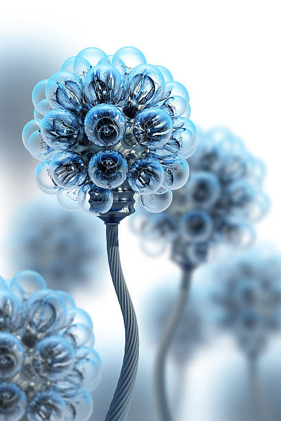 istock Stem with light bulbs all over top for new electric concept 90251930