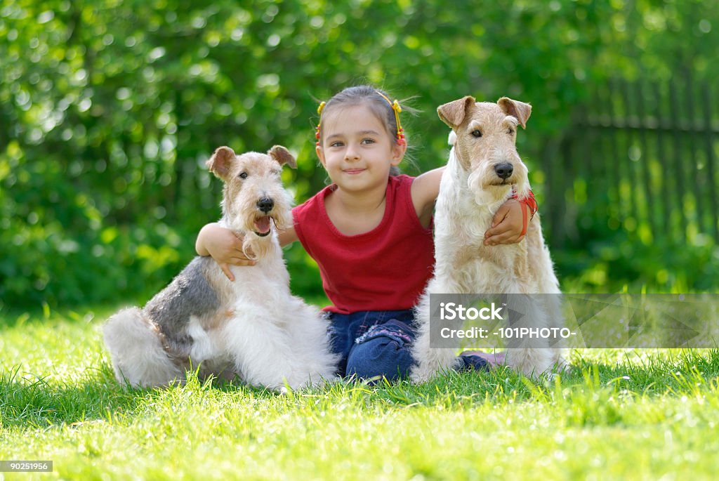 A menina e dois fox terriers - Foto de stock de Abraçar royalty-free