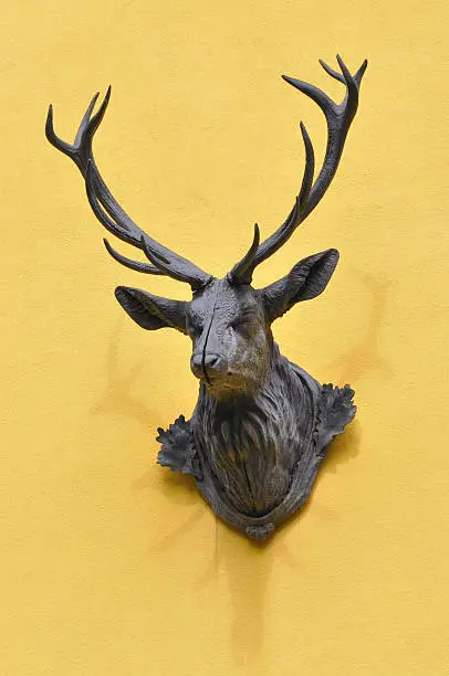 Photo of Bust of a stag