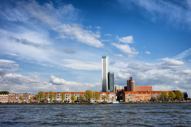 istock Rotterdam City Skyline in Netherlands 902521146