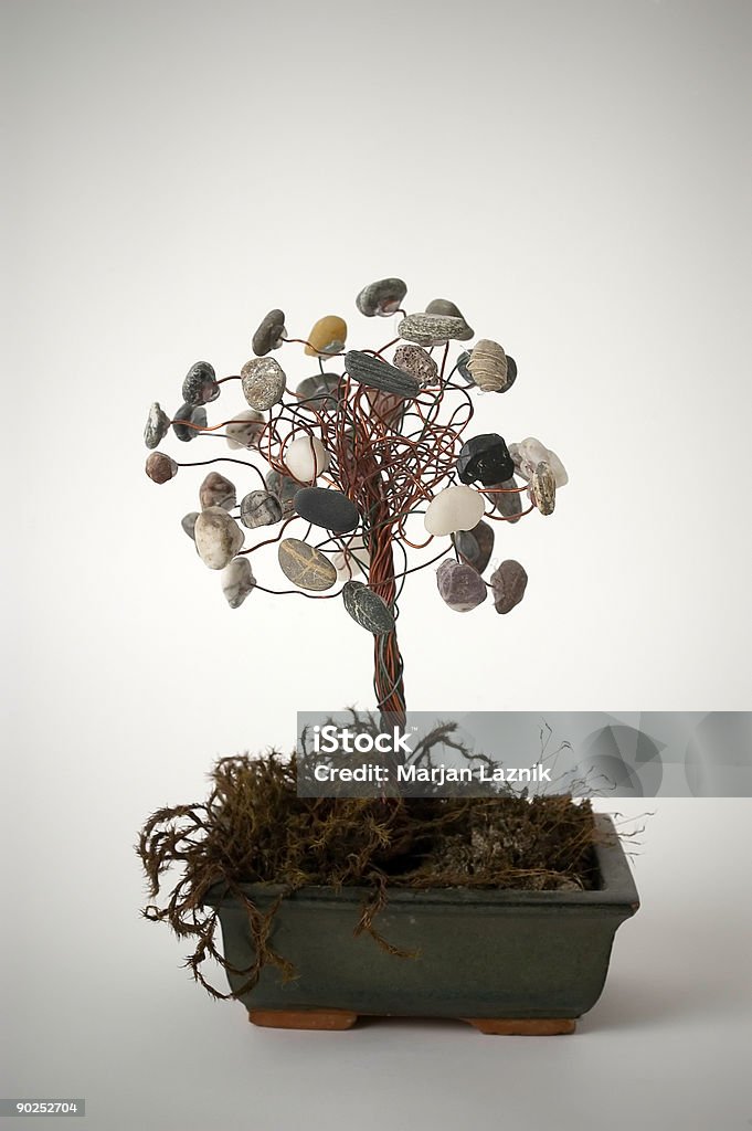 Neugierig bonsai - Lizenzfrei Bedrohte Tierart Stock-Foto