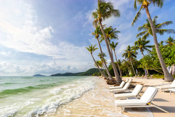 Sunbeds under tropical palms on beautiful Bai Sao beach