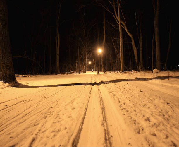 istock ski road in the forest at night 902529454