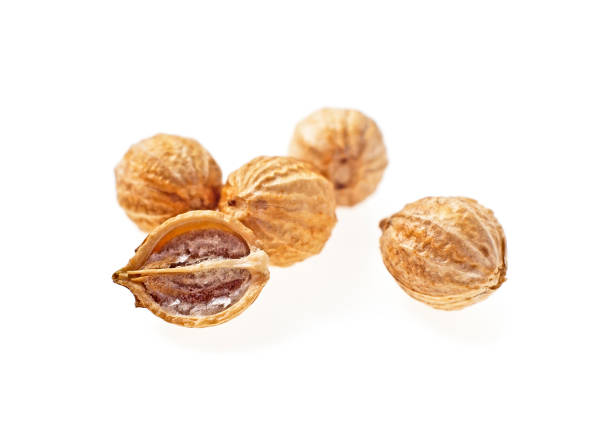 istock Seeds of coriander on a white background, whole and half. Selective focus. 902549002