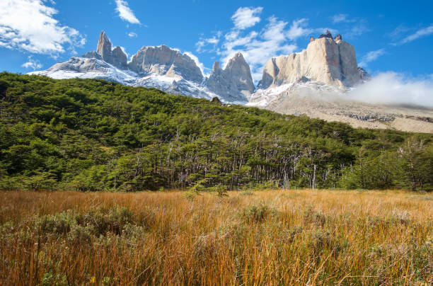 istock Torres del Paine Nationalpark, Chile 902556454