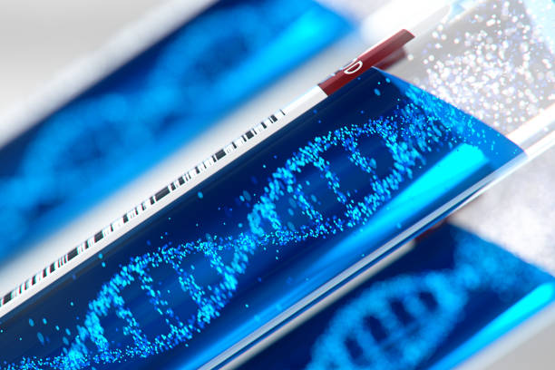 테스트 튜브 equipment.3d 렌더링, 개념적 이미지 안에 형성 하는 dna 분자 - chromosome biotechnology laboratory tube 뉴스 사진 이미지